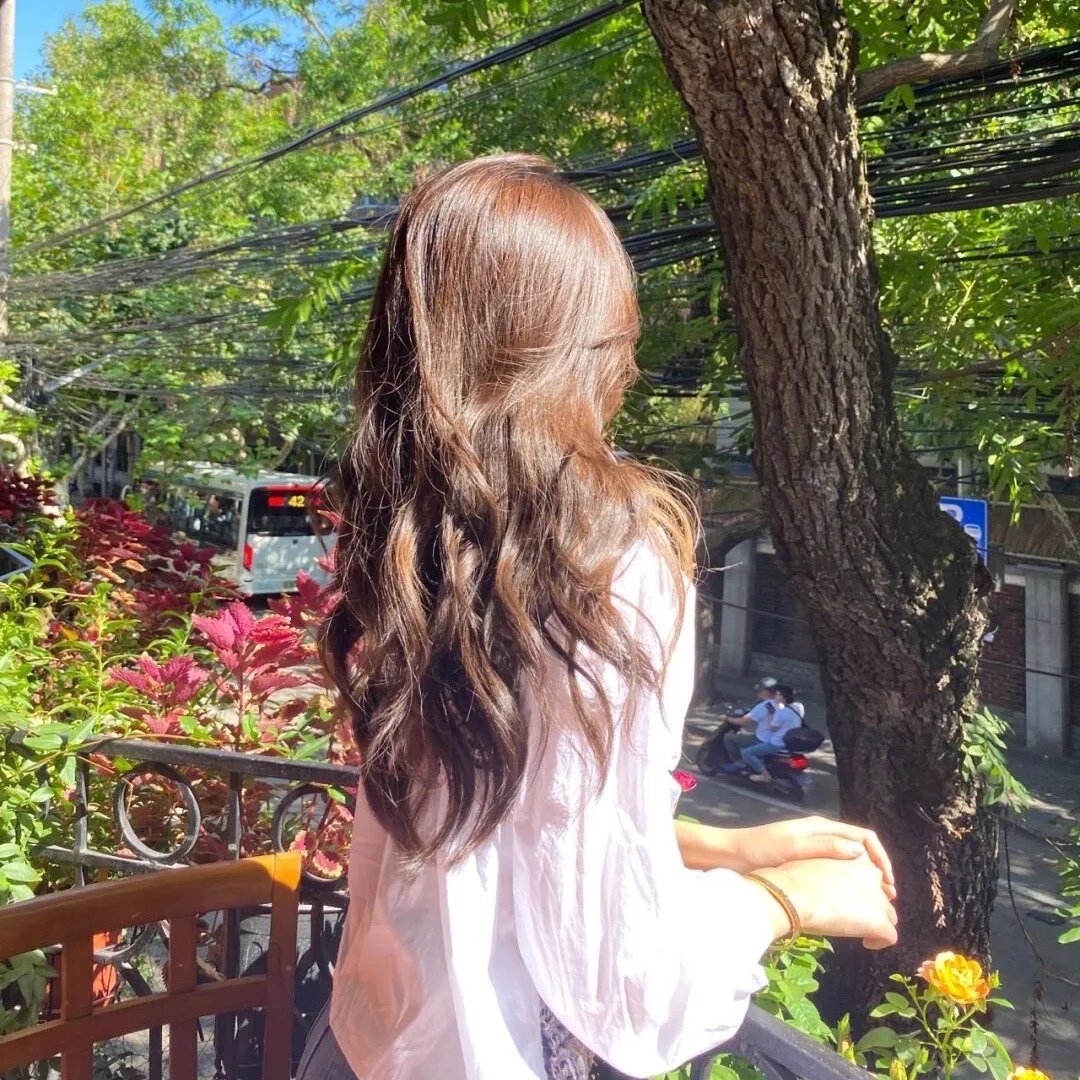 缉拿杨枪枪